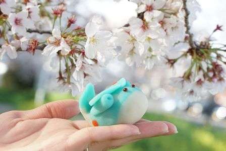 桜咲く空に飛立つ