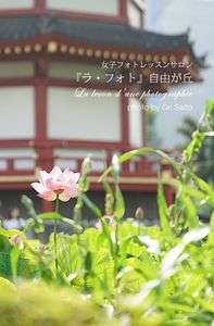 12か月の花歩き：不忍池の蓮