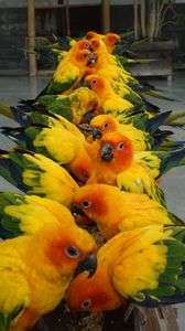 僕のとらないでね。