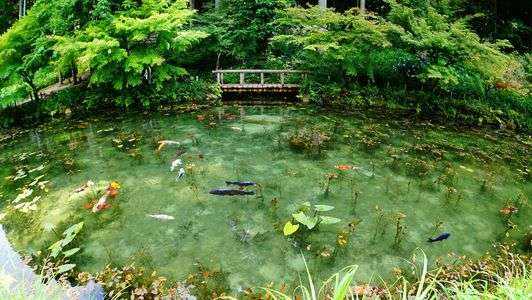 モネの池～夏編