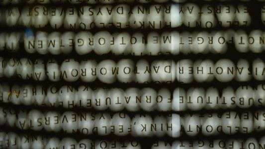 和の明かり 2017 WHITE