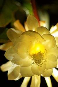 一夜限りと言い聞かせては～♪