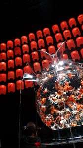 アークアクアリウム展