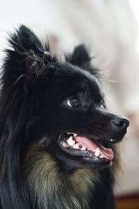 お散歩後は一眠り(^^♪