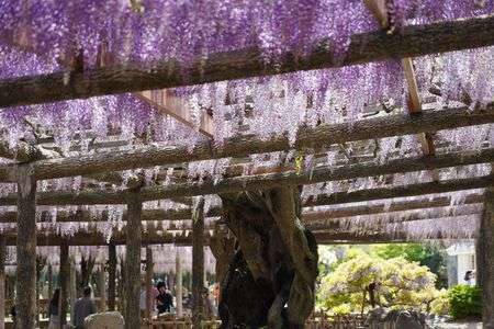 津島市 天王川公園