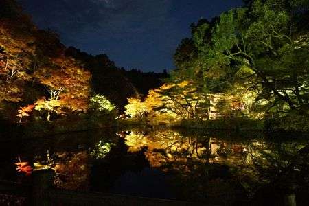 初めての宝生寺