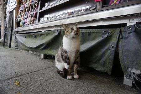 かわいい店員さん