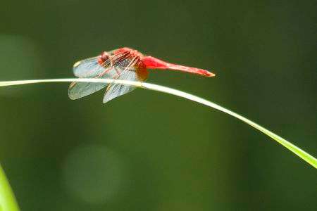 いつ行こうかな