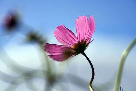 2025秋の思い出 滝野すずらん丘陵公園①