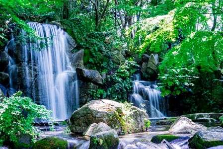 白糸にとってみたくて・・