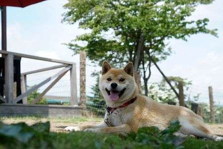 軽井沢ソッピングエリアへ