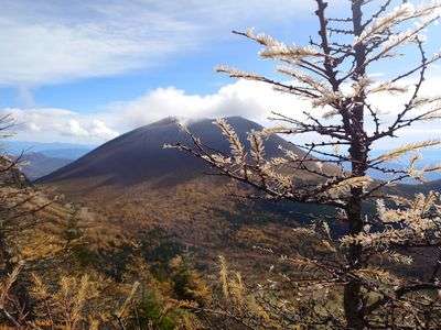 浅間山ゴールド