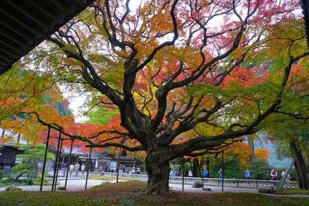 九州に行ってきました⑪