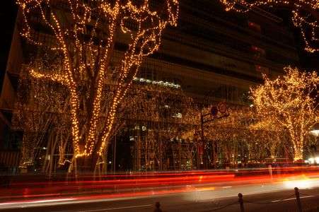 今さら・・・年末の写真です