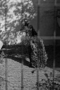 動物園の峰不二子