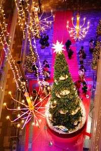 一足早いクリスマス