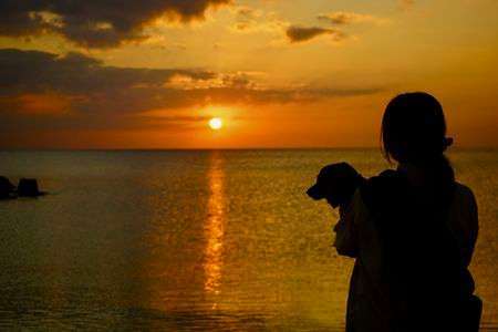 21世紀森のビーチ