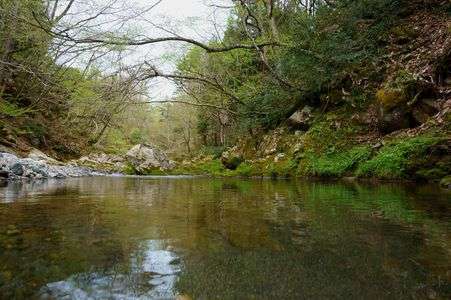 大自然　川、森に囲まれて