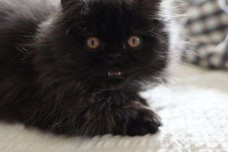 言いたいことあります