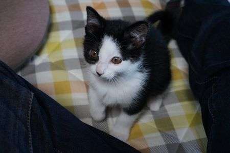 みーちゃんです。よろしくね。