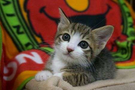 飛び切りの笑顔で