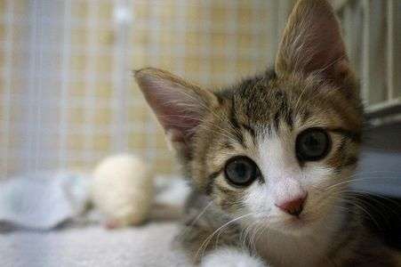 お遊び疲れました