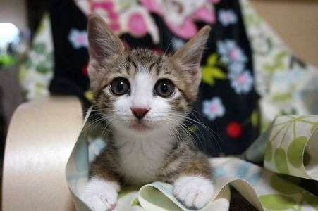 小さな幸せつかみました。