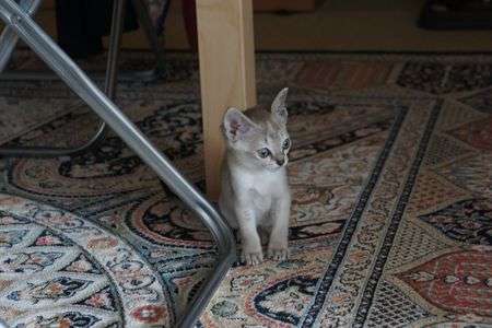 こんなにちっちゃかった！！