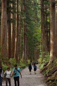 パワーをいただきました