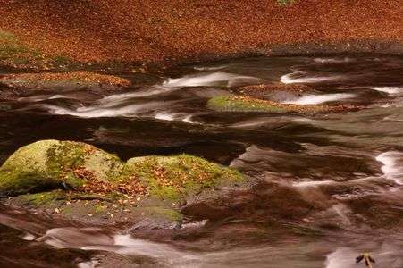 水の上にも織る錦