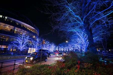 東京ミッドタウンのイルミネーション2