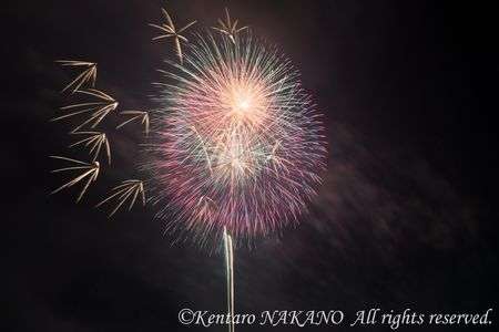 筑後川花火大会