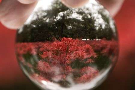 ガラスの中の世界