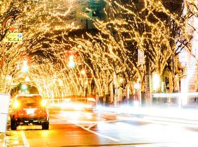 2014光のページェント