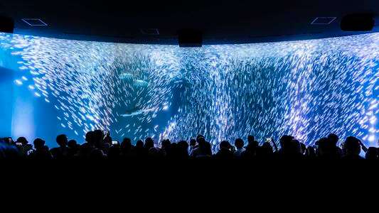 あの夏、輝群に魅せられて