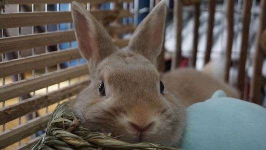 ゆるりと休憩中