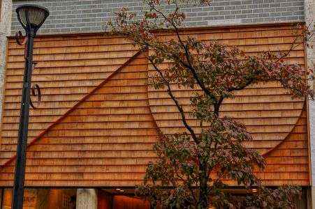 木と木とランプ