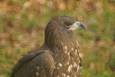 【2015】　多摩動物公園　【1.19】