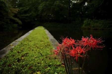 また会う日を楽しみに