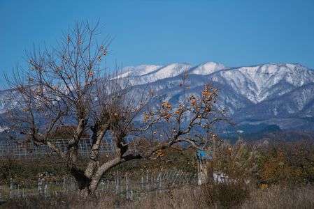 地元の秋冬コーデ