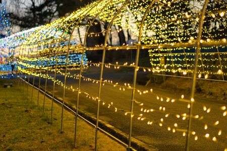 寒河江公園イルミネーション