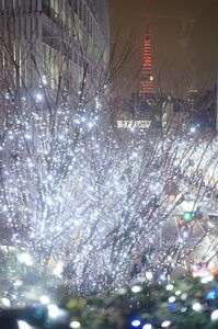 東京タワー還暦