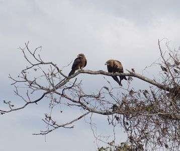 初冬の琵琶湖の湖北周辺