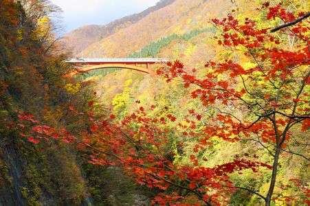 紅葉