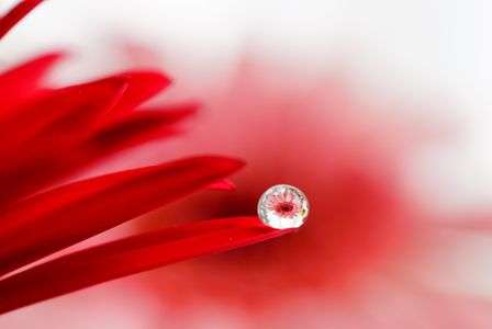 water drop