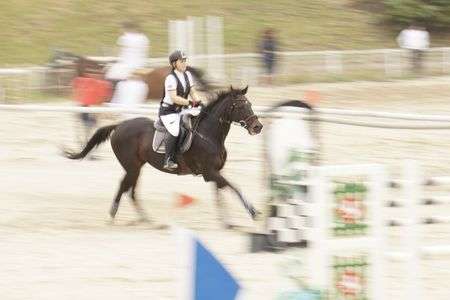 障害を越える人馬