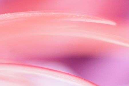 ～雫の中のお花を撮ろう～