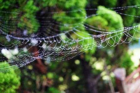 ・・・・・・がいっぱい。