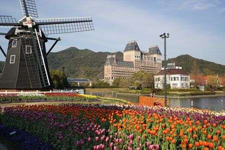 日本のオランダ