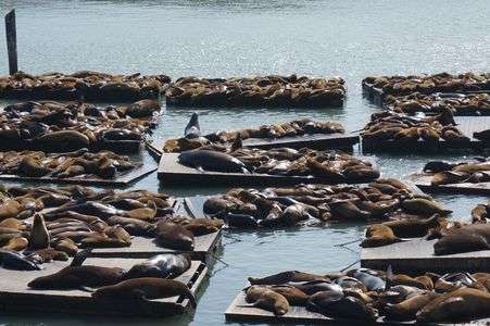 日向ぼっこしすぎ